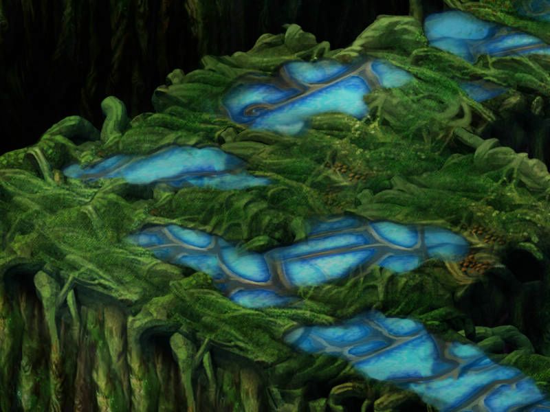 Life Tree 5