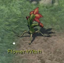 1. Flower Witch – Snow Ridge, left of the Windseeker arrival