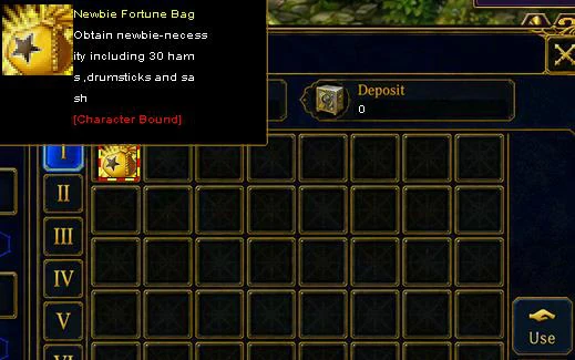 The Newbie Fortune Bag in your inventory