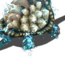 Stone Tortoise normal form